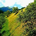 And Garden House Among The Mountains *