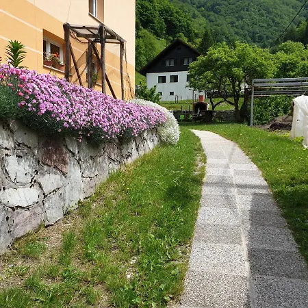 Apartment And Garden House Among The Mountains *