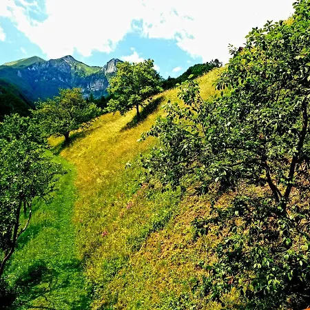 And Garden House Among The Mountains *