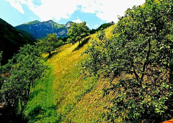 And Garden House Among The Mountains *